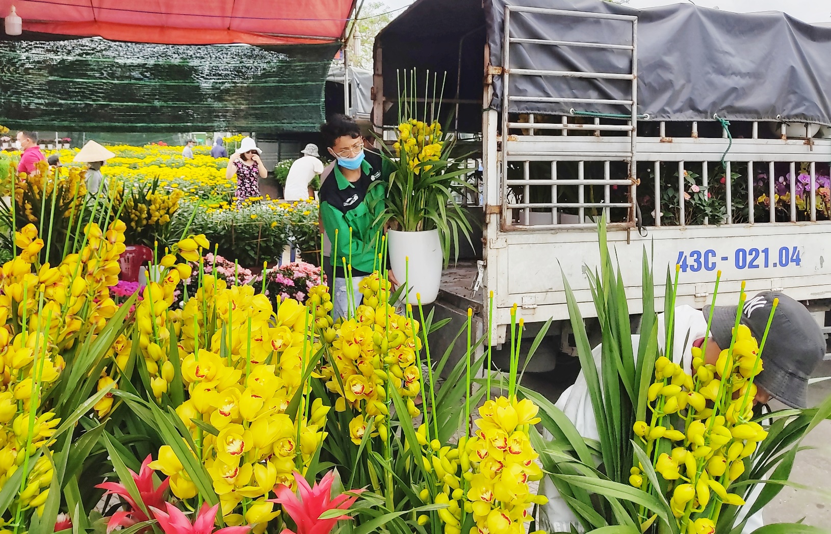 Do ảnh hưởng của dịch bệnh nên năm nay, người bán hoa chọn các loại hoa tầm trung, phù hợp với “túi tiền” của người dân.